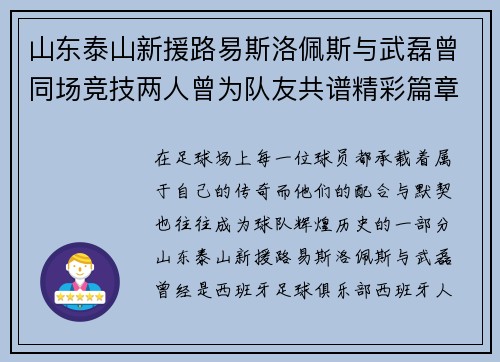 山东泰山新援路易斯洛佩斯与武磊曾同场竞技两人曾为队友共谱精彩篇章